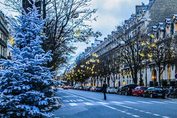 paris-winter-guide-2016-christmas-decorations-snowy-tree-street-architecture